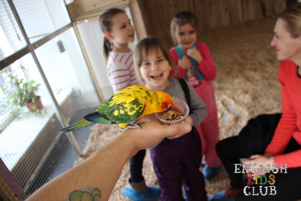 Język angielski dla dzieci Białystok