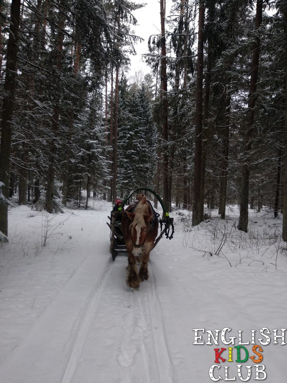 Język angielski dla dzieci Białystok