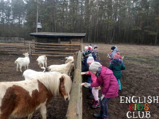 polkolonie zimowe dla dzieci bialystok 2020 21