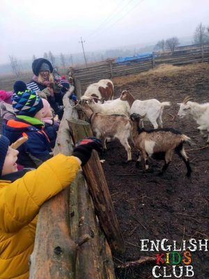 polkolonie zimowe dla dzieci bialystok 2020 22