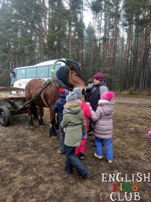 polkolonie zimowe dla dzieci bialystok 2020 25