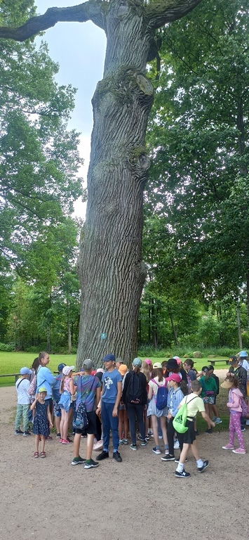 kolonie w austowie 2022 91