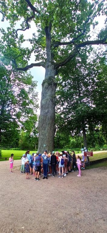 Język angielski dla dzieci Białystok