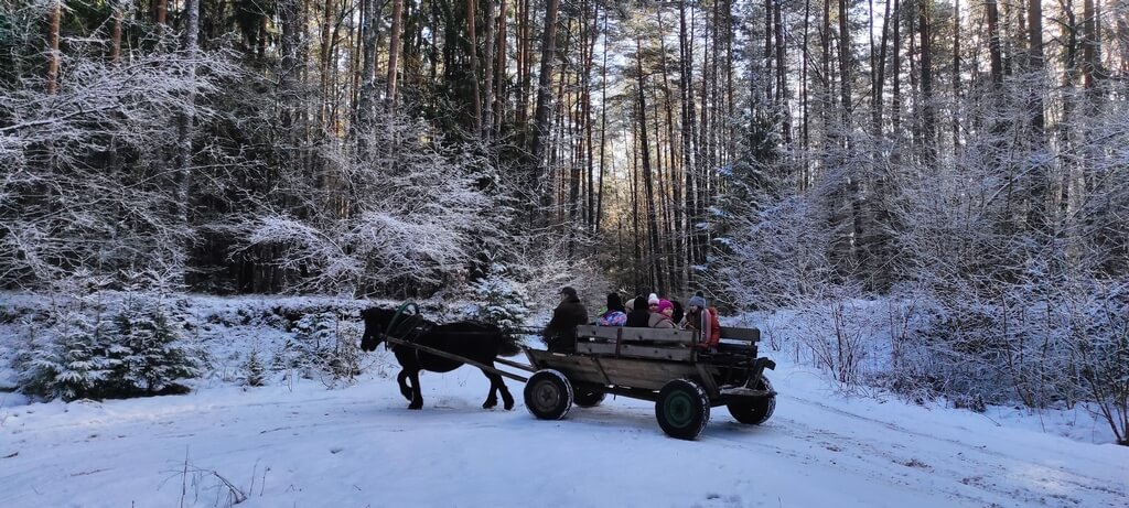 Półkolonie zimowe 2026