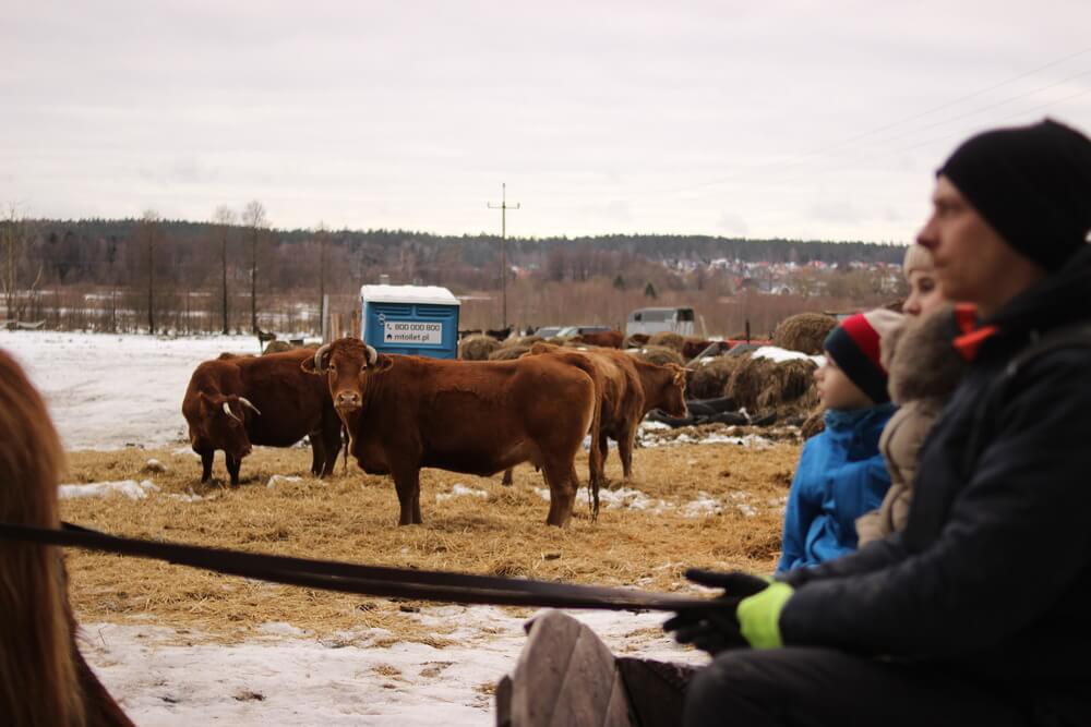 Półkolonie zimowe 2024