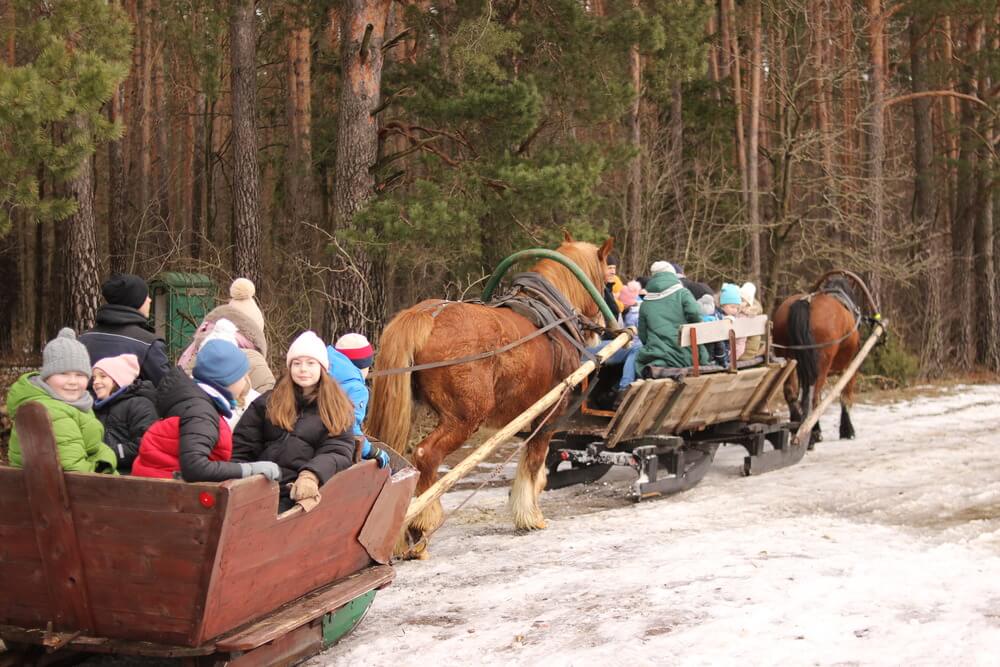 Półkolonie zimowe 2024