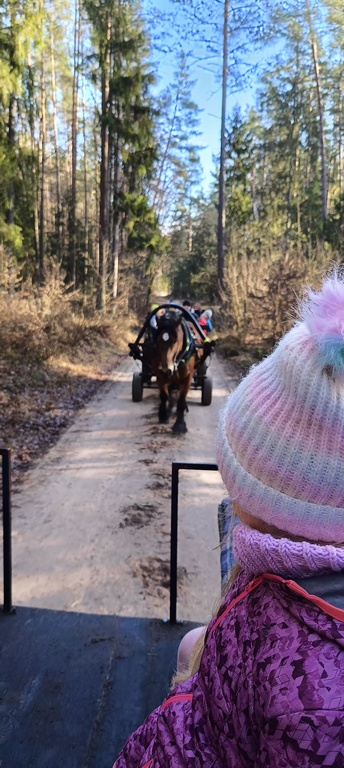 polkolonie zimowe 2025 16