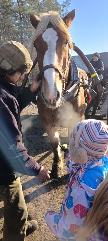 Półkolonie zimowe 2025
