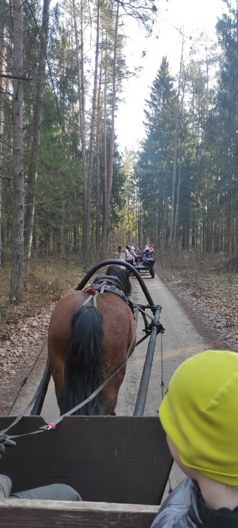 polkolonie zimowe 2025 24