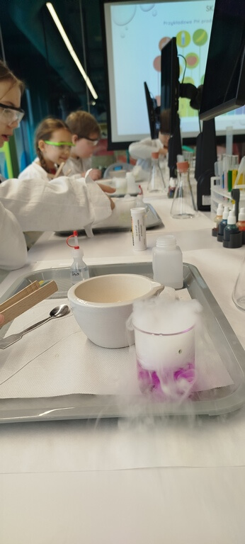 Półkolonie zimowe 2025
