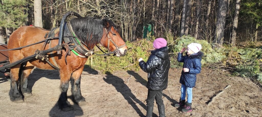 polkolonie zimowe 2025 6