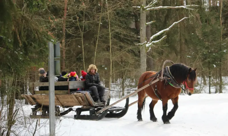 polkolonie zimowe 2026 22