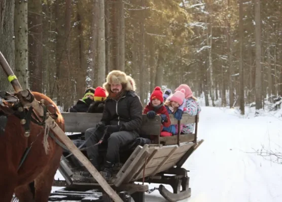 polkolonie zimowe 2026 24