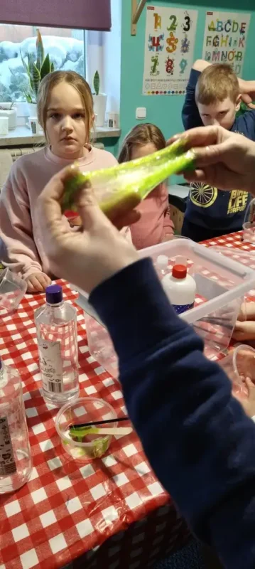 polkolonie zimowe 2026 34