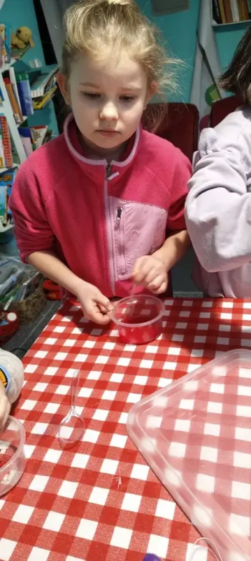 polkolonie zimowe 2026 35